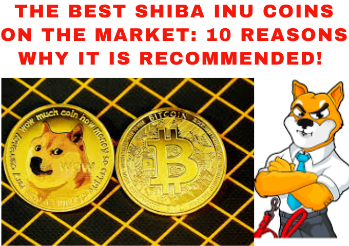 Shiba Inu Coins