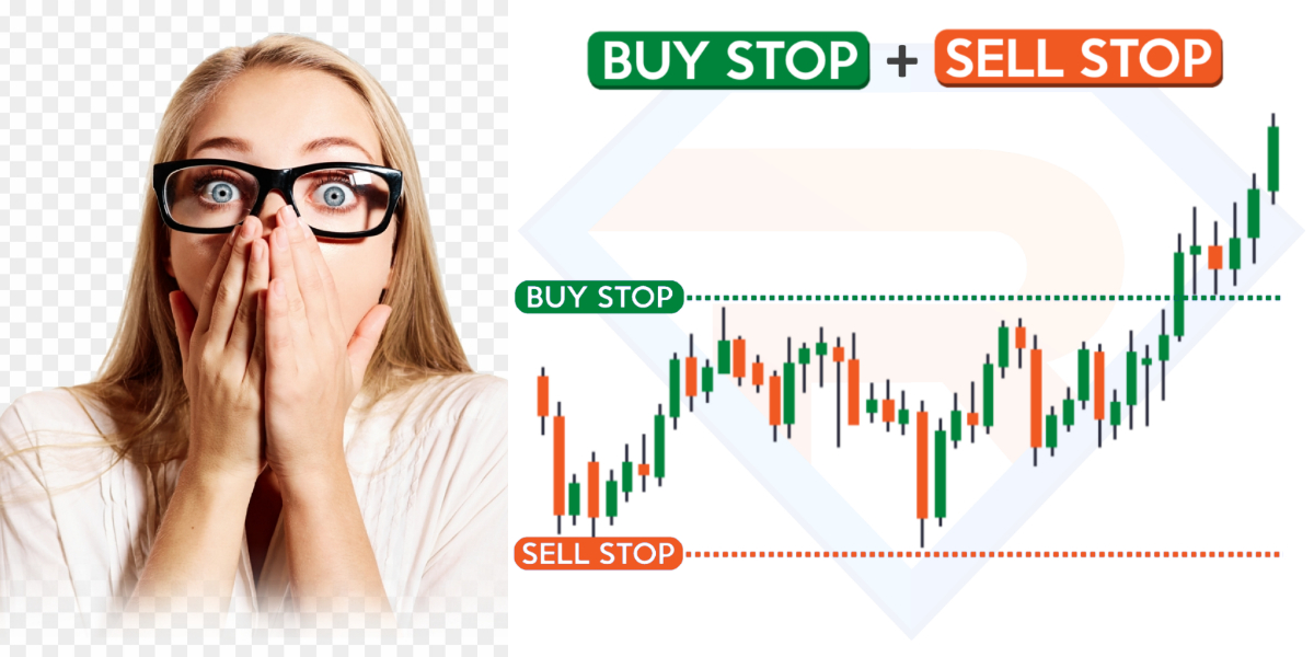 Understanding How the Stock Market Works